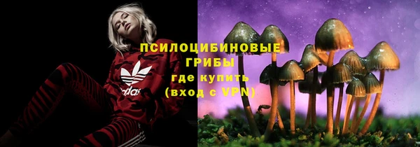 винт Абинск