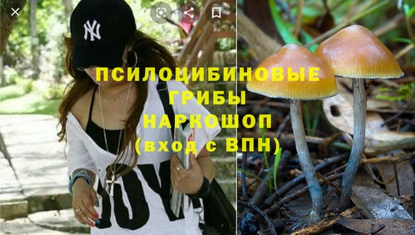 дурь Абдулино