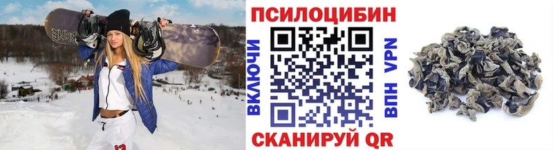 Псилоцибиновые грибы мицелий  Ефремов 